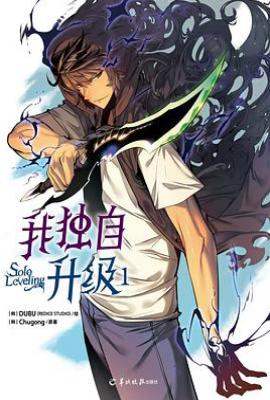 我独自升级 1