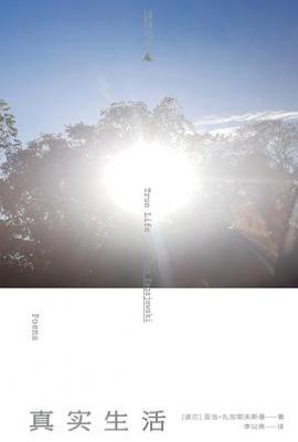 真实生活