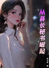 从县长秘书崛起
