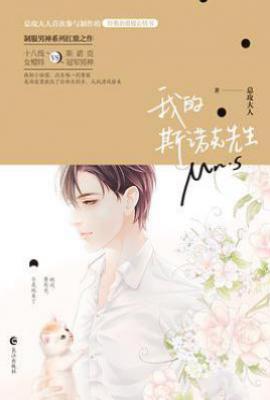 我的斯诺克先生