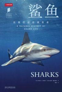 鲨鱼:优雅的超级捕食者