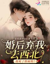 婚后弃我去西北，我死了你疯啥？