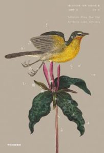 沿着流过的河水