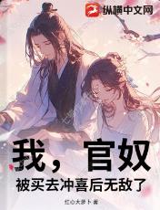 我，官奴，被买去冲喜后无敌了